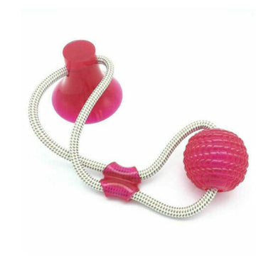 Pet Interactive Suction Cup  Elastic Rope