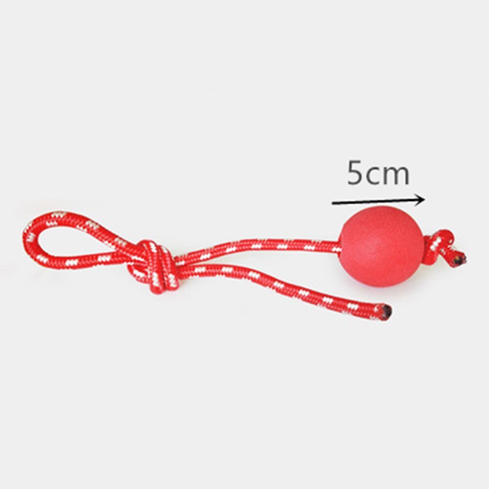 Pet Interactive Suction Cup  Elastic Rope