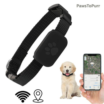 GPS Pet Tracker Collar for Dogs and Cats